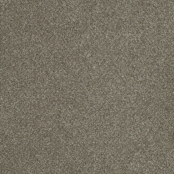 Satin Sienna Sand Carpet Swatch