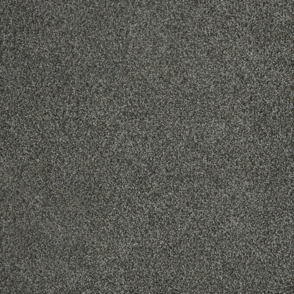 Satin Pavilion Carpet Swatch
