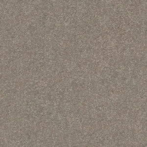 Charming Smooth Taupe Carpet Swatch