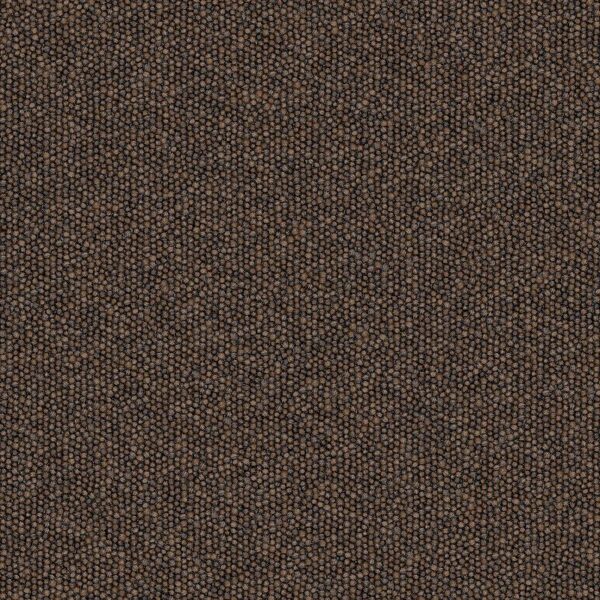 Top Performer 20 Hickory Carpet Swatch