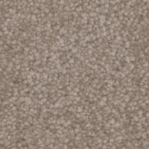 Canvas II