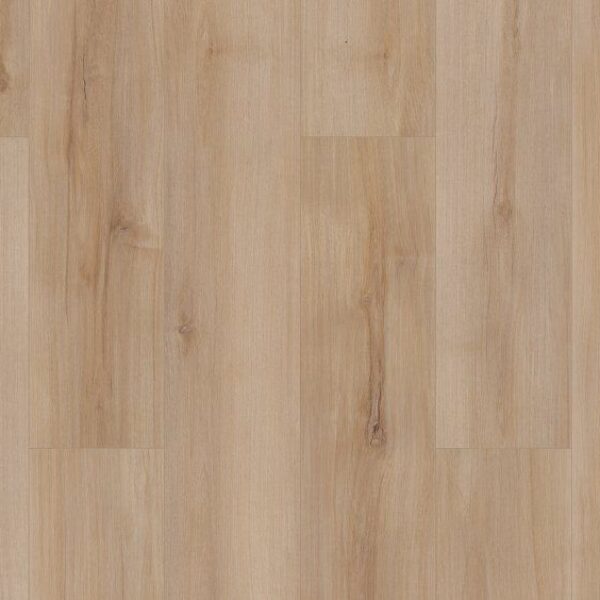 Lucent Oak