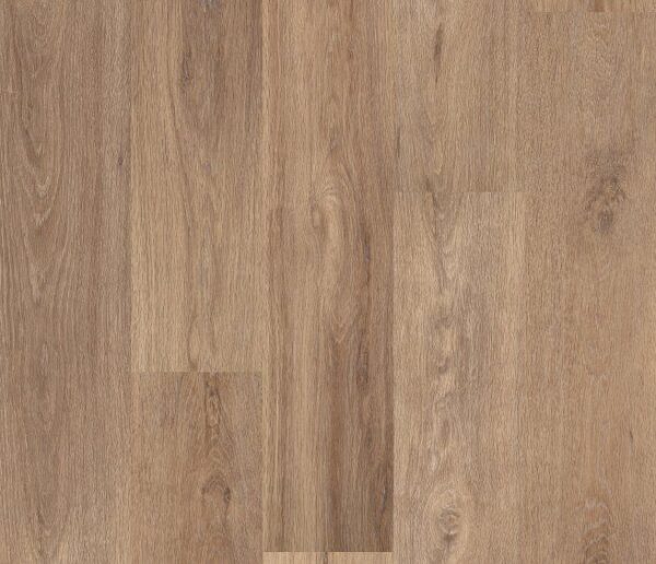 Lyric Oak