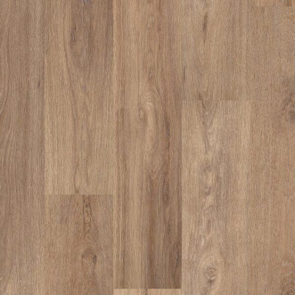 Lyric Oak