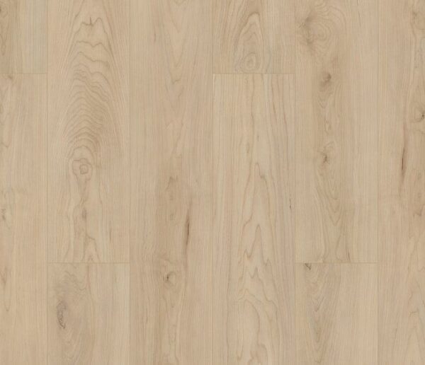 Shoreline Maple