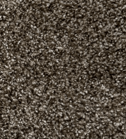 Dark Truffle