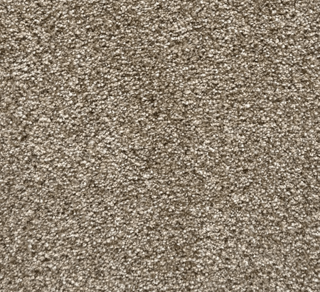 Toasted Oat