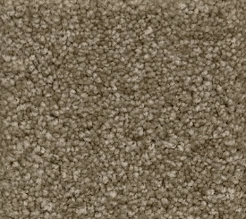 Moon Dust