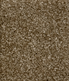 Solar