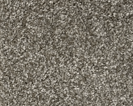 Dawn Beige