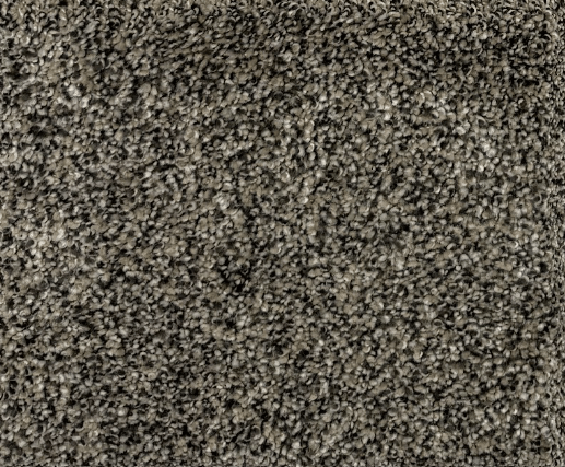 Creek Bed